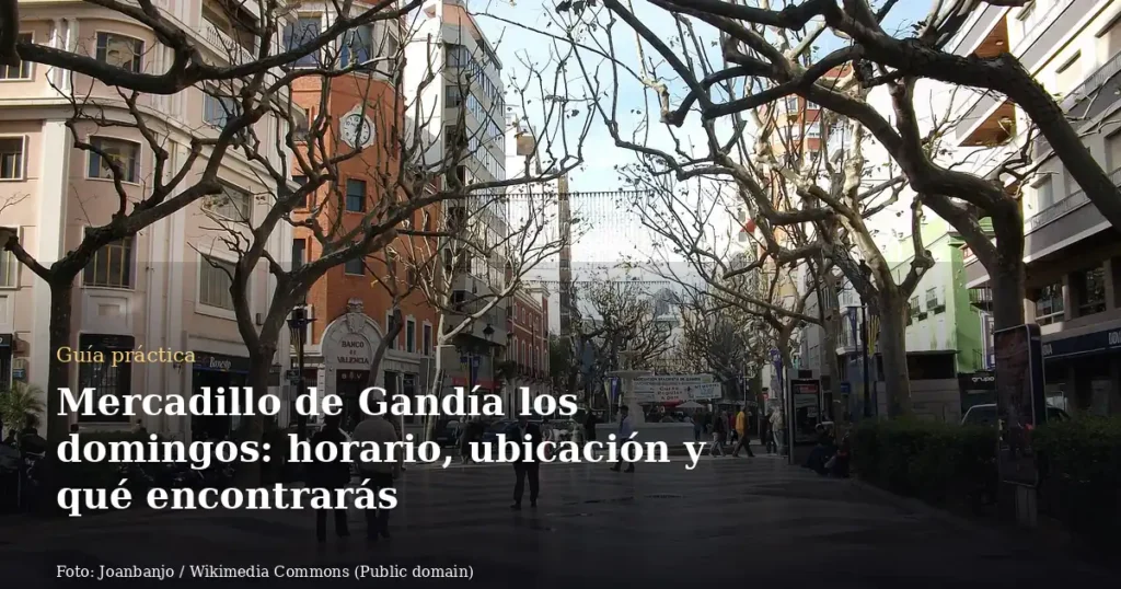 Mercadillo de Gandía los domingos: horario, ubicación y qué encontrarás