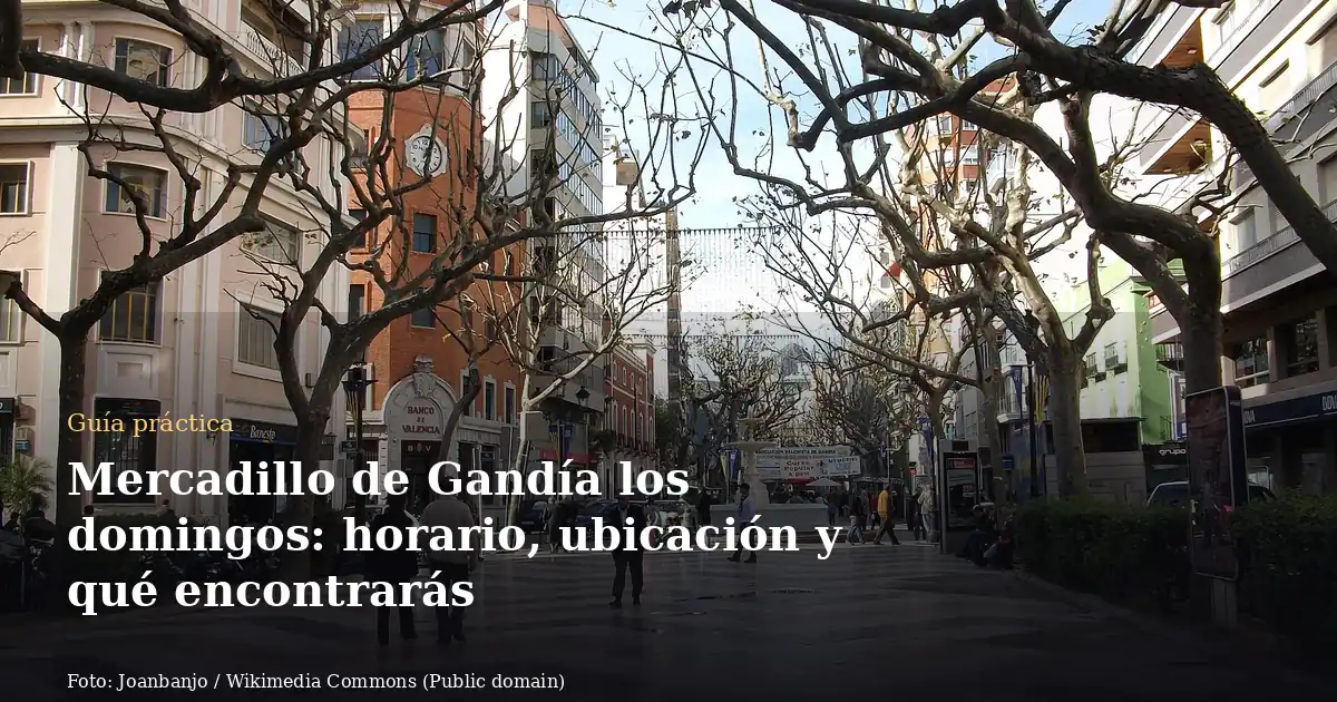 Mercadillo de Gandía los domingos: horario, ubicación y qué encontrarás